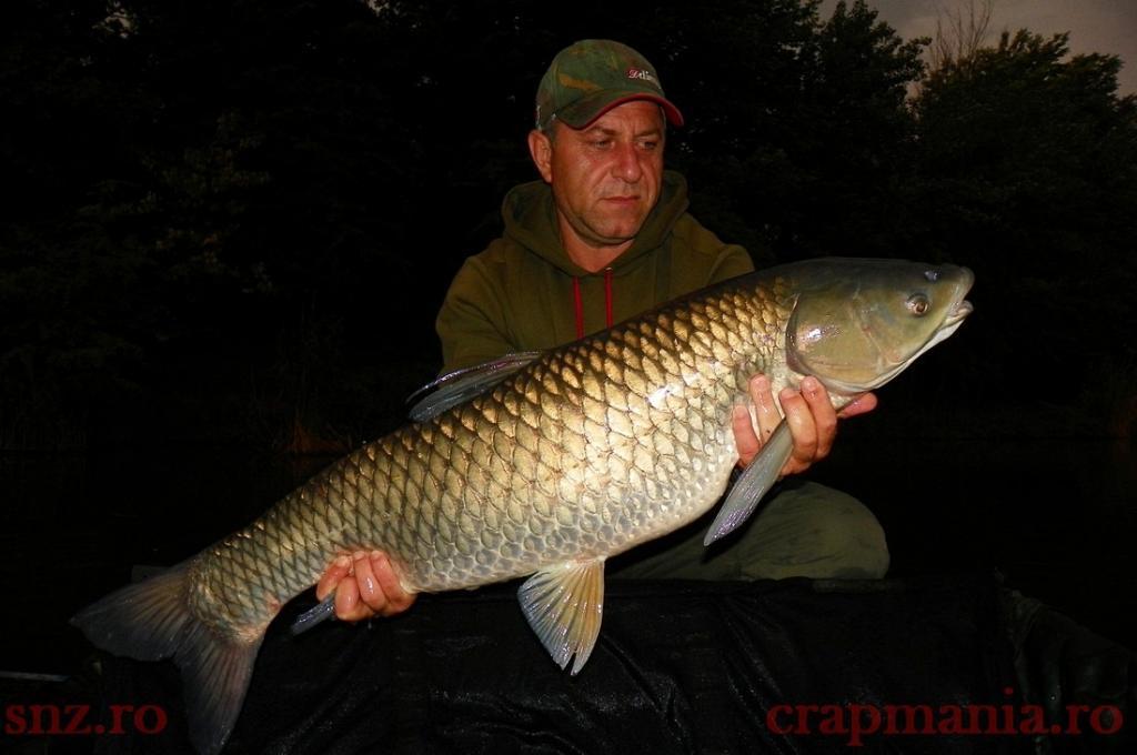 Tancabesti 2013 - 1010341-1.jpg